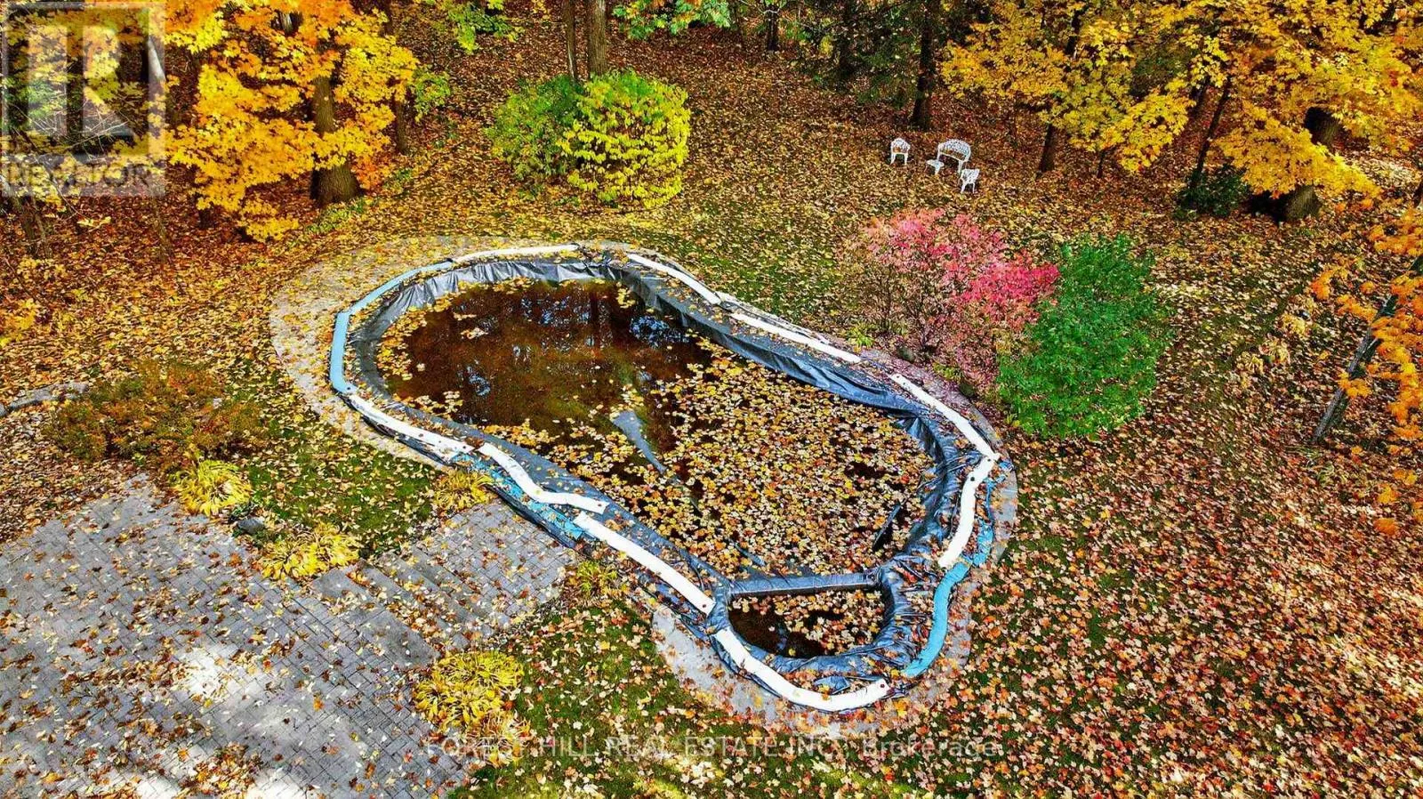 124 FOREST RIDGE ROAD