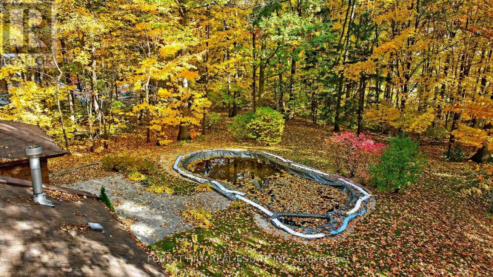 124 FOREST RIDGE ROAD