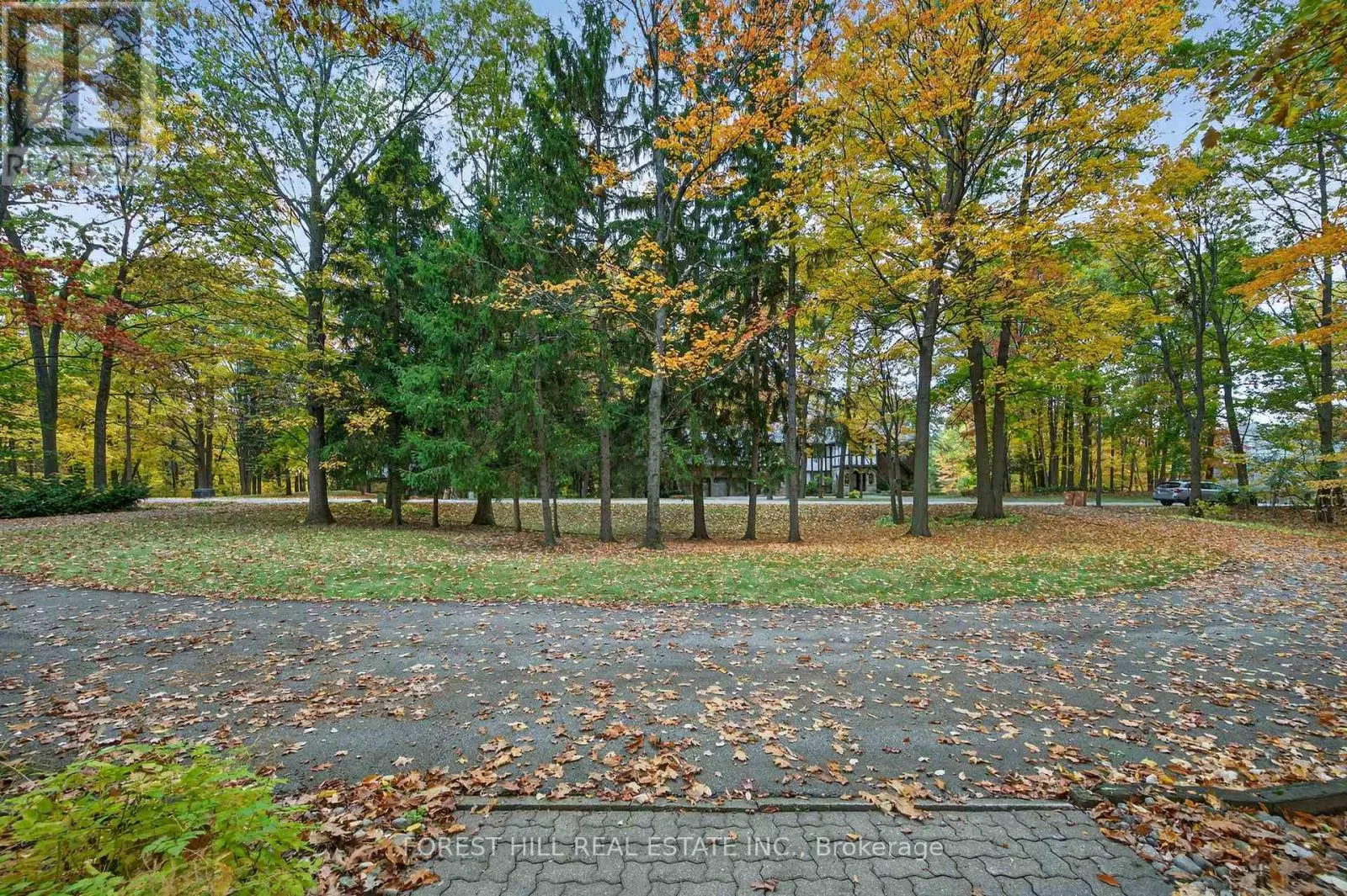 124 FOREST RIDGE ROAD