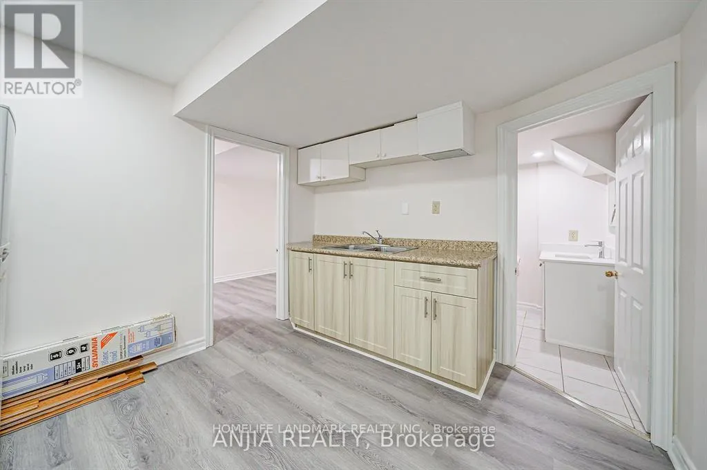 BASEMENT - 203 MILLIKEN MEADOWS DRIVE