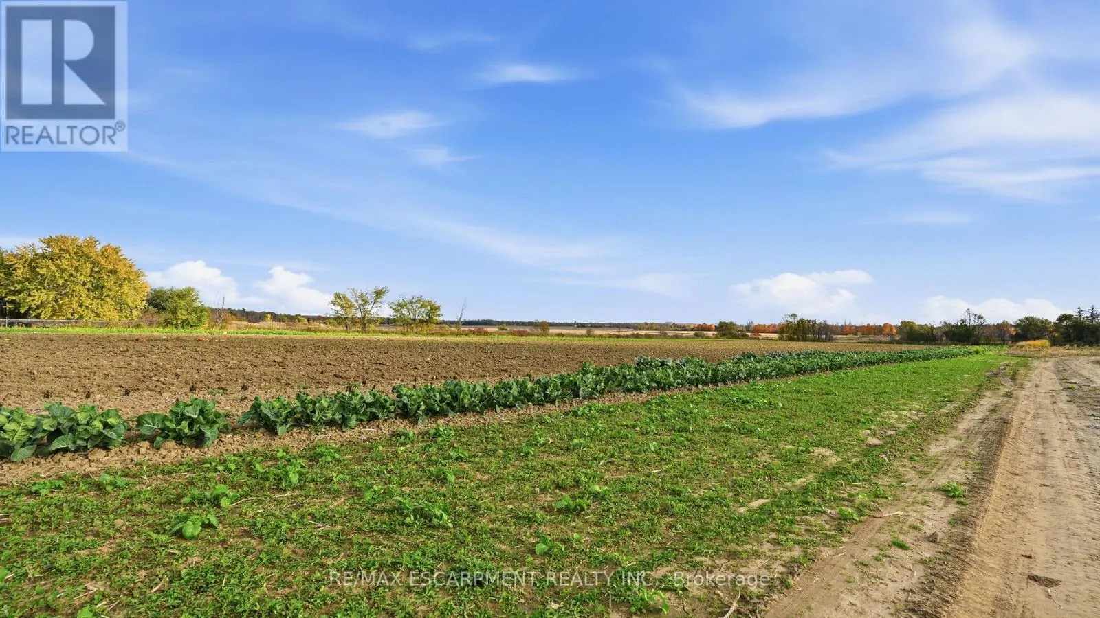 4283 KING-VAUGHAN ROAD