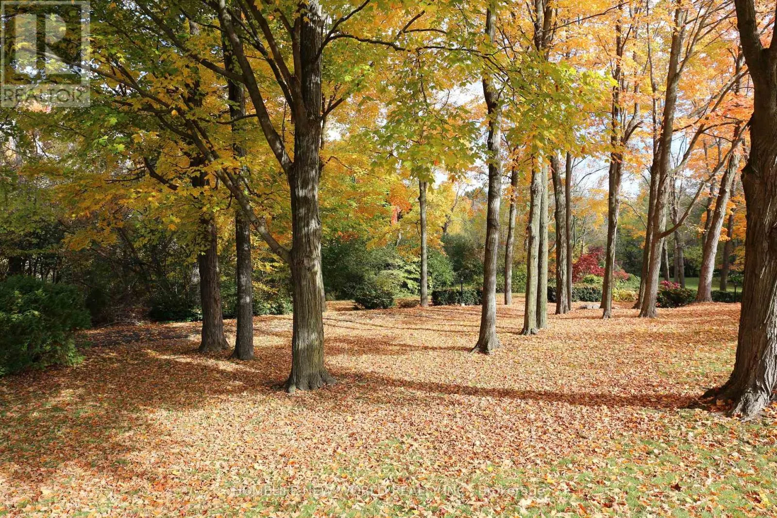 13867 WOODBINE AVENUE