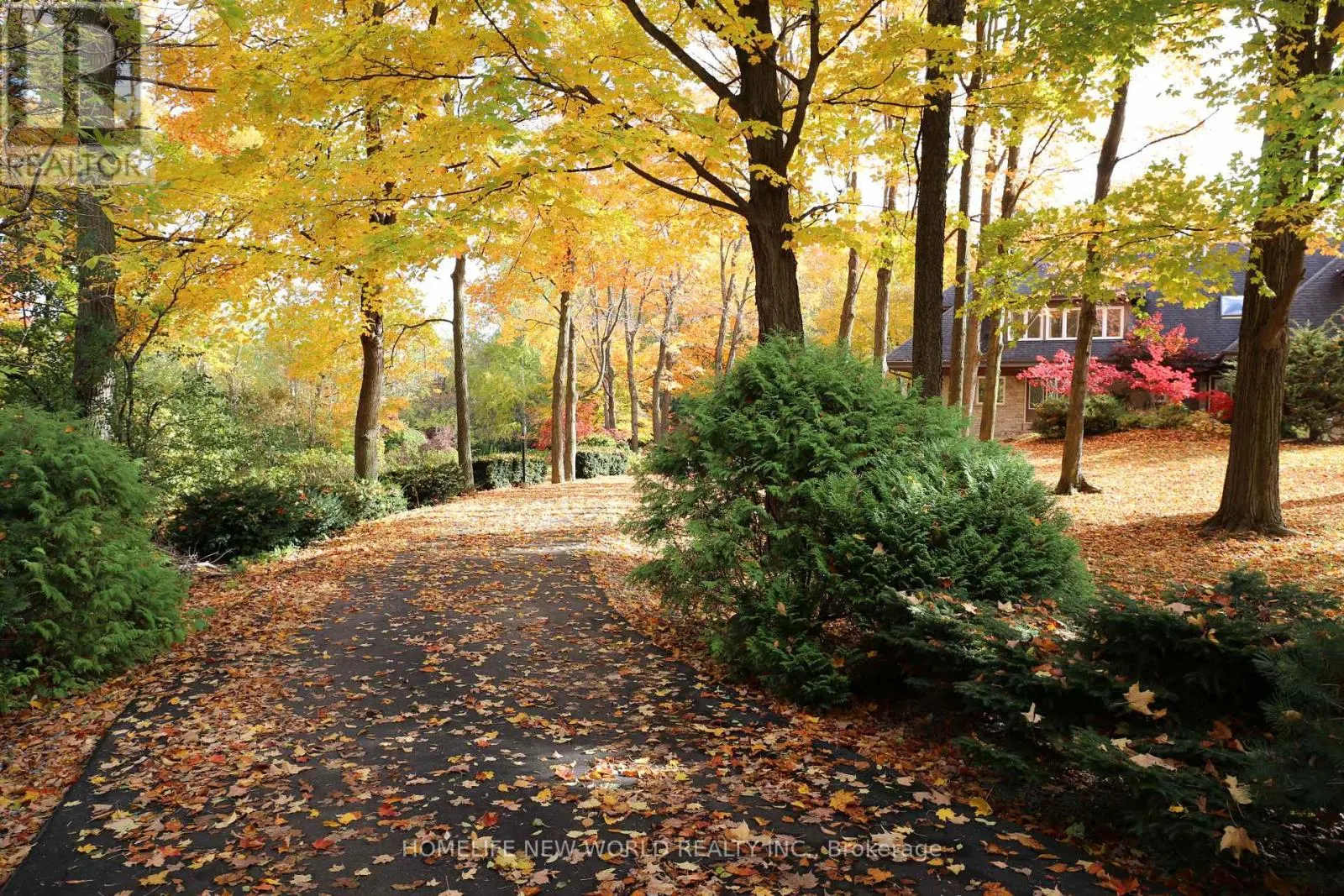 13867 WOODBINE AVENUE