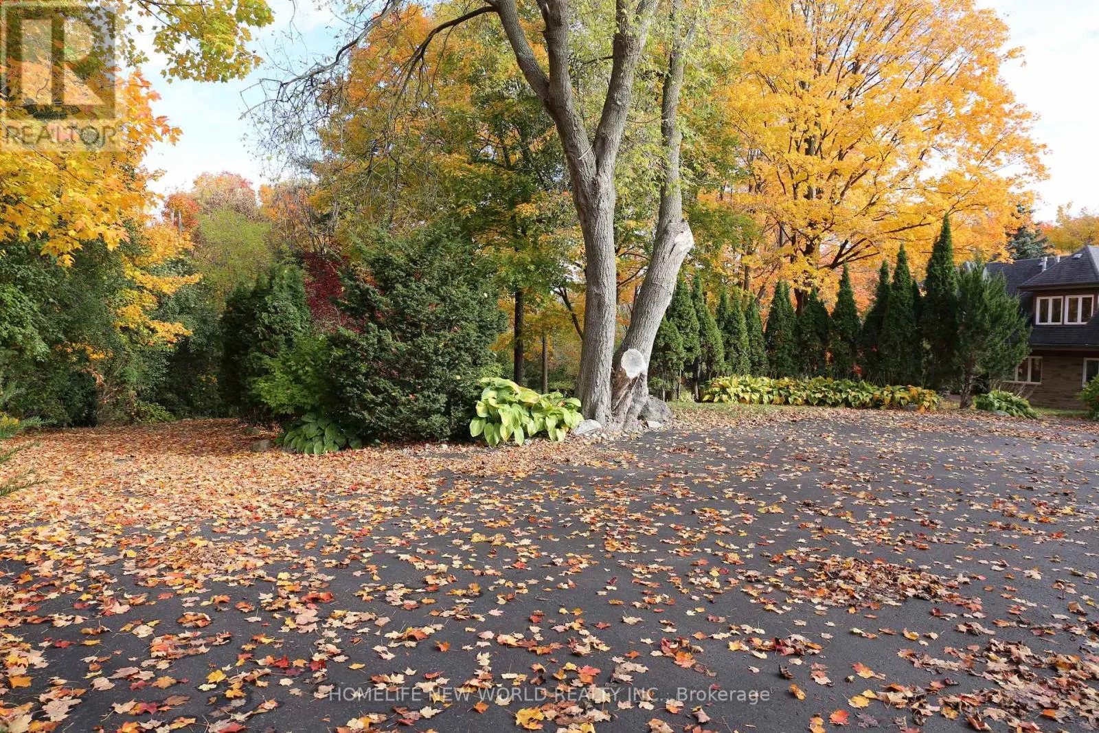 13867 WOODBINE AVENUE