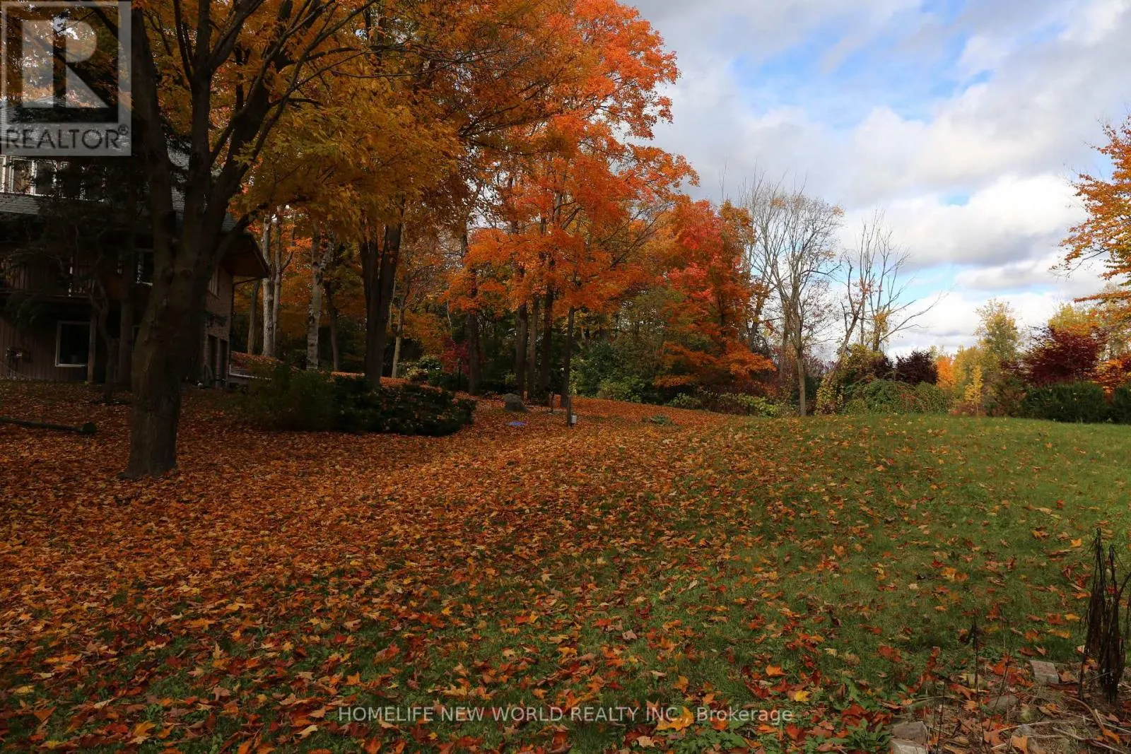 13867 WOODBINE AVENUE