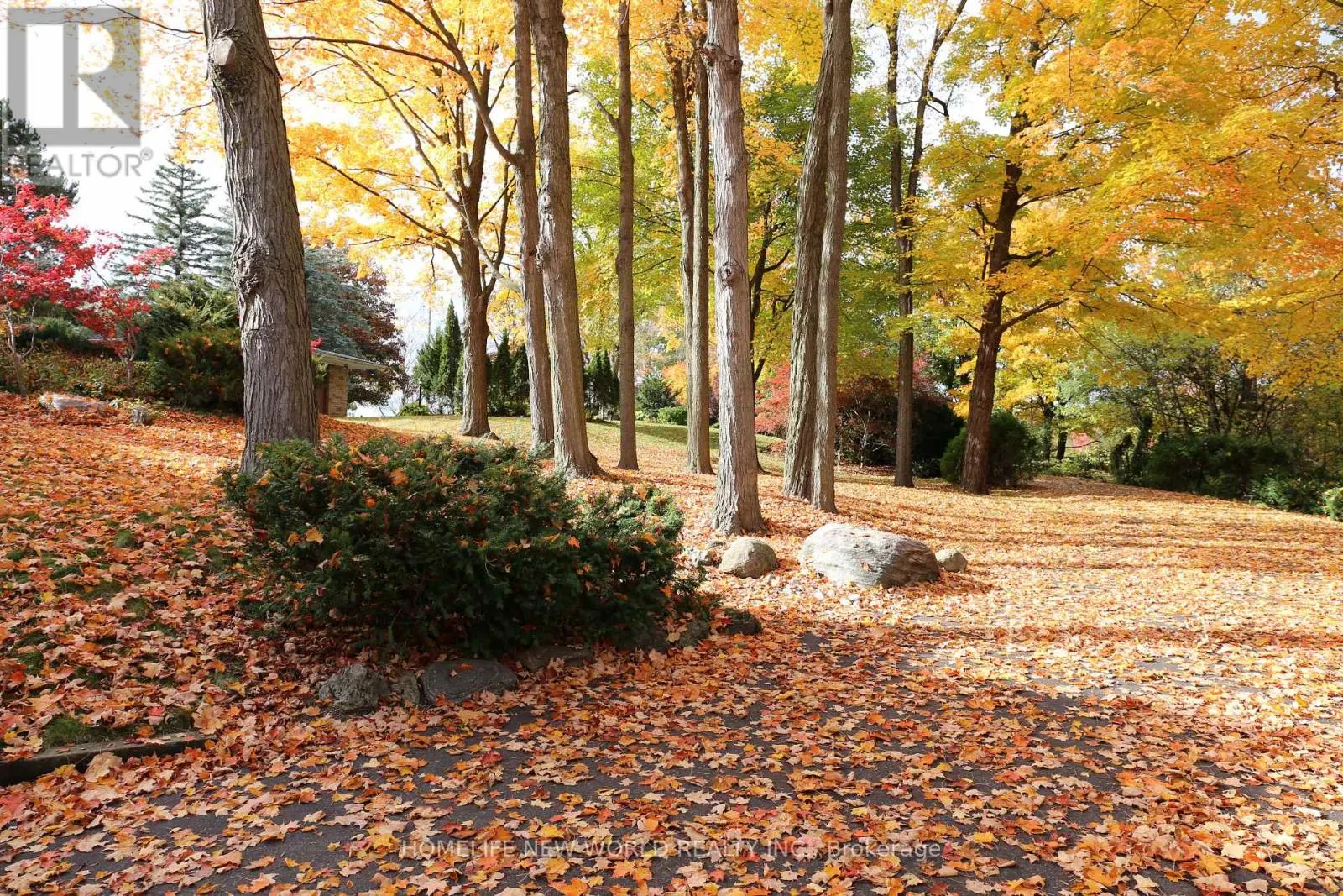 13867 WOODBINE AVENUE