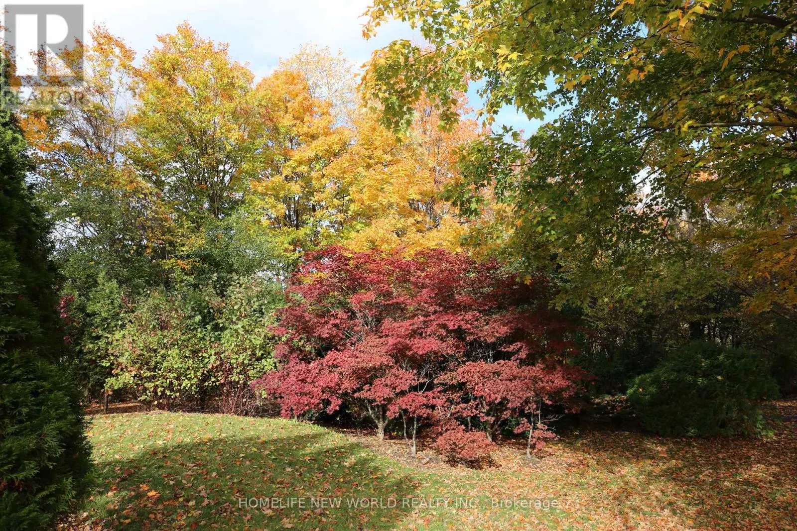 13867 WOODBINE AVENUE