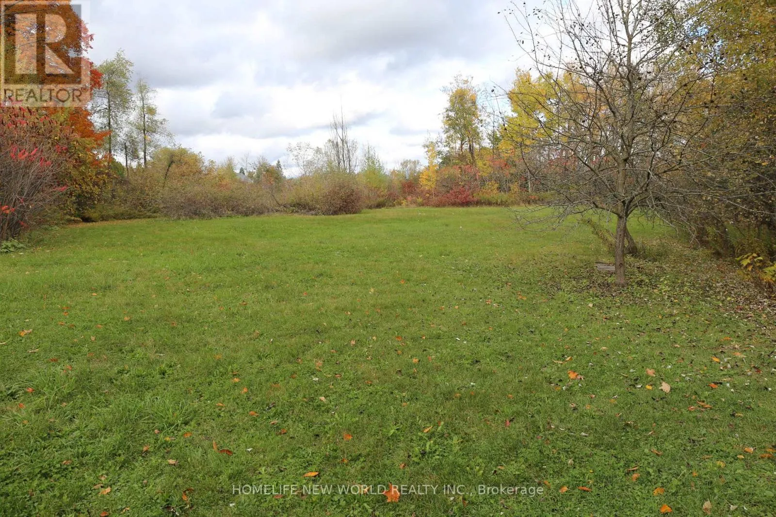 13867 WOODBINE AVENUE