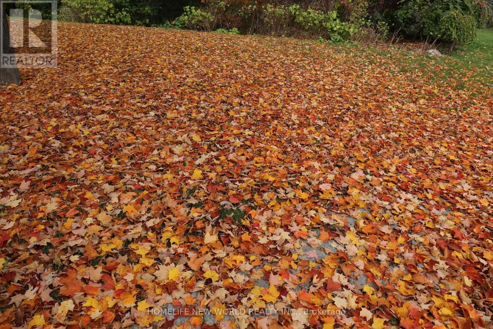 13867 WOODBINE AVENUE