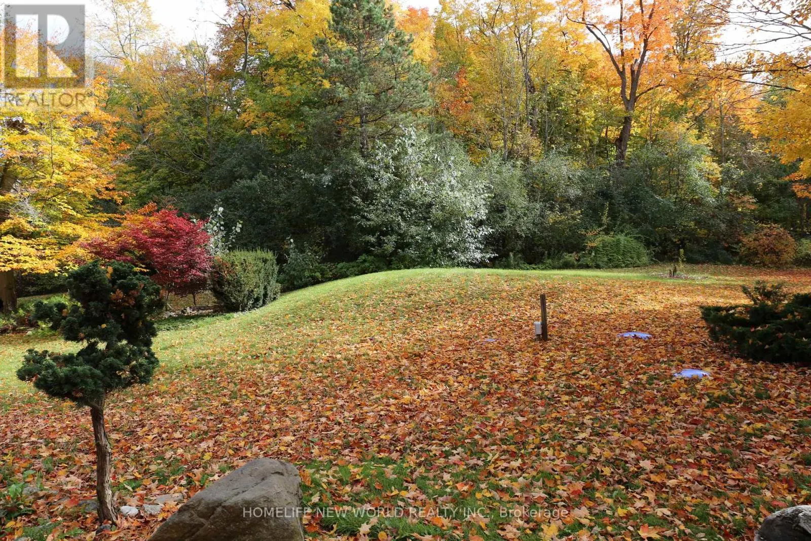 13867 WOODBINE AVENUE