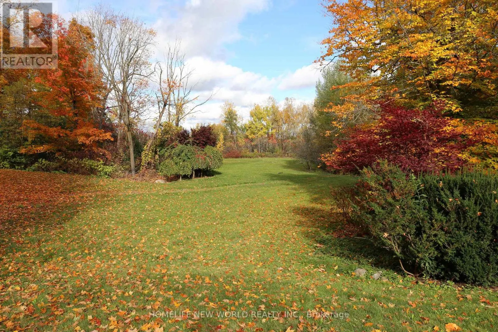 13867 WOODBINE AVENUE