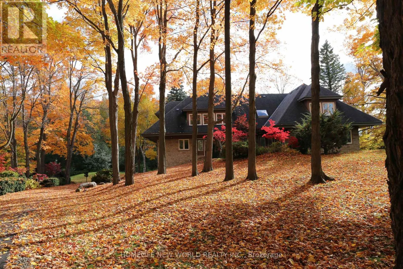 13867 WOODBINE AVENUE