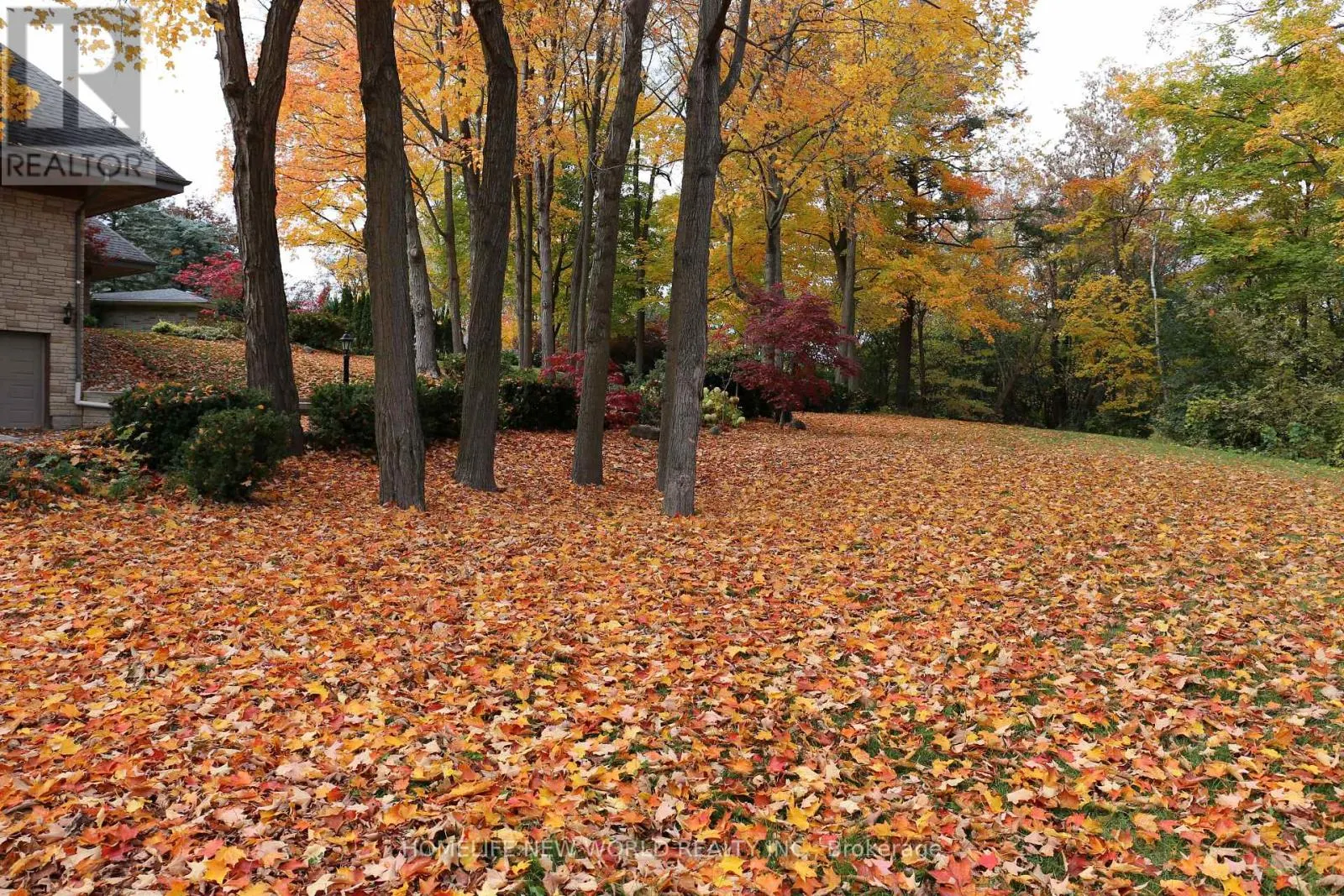 13867 WOODBINE AVENUE