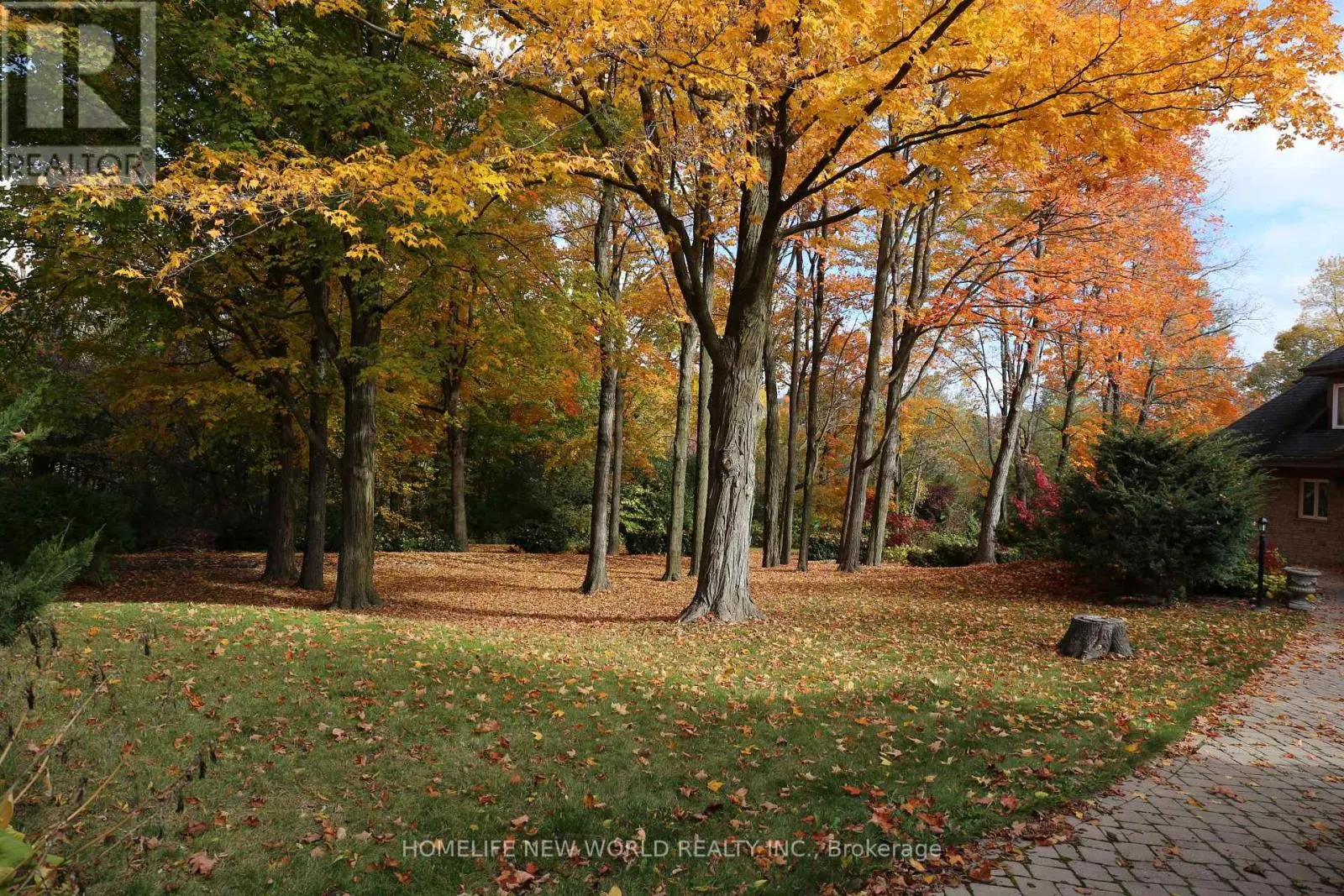 13867 WOODBINE AVENUE