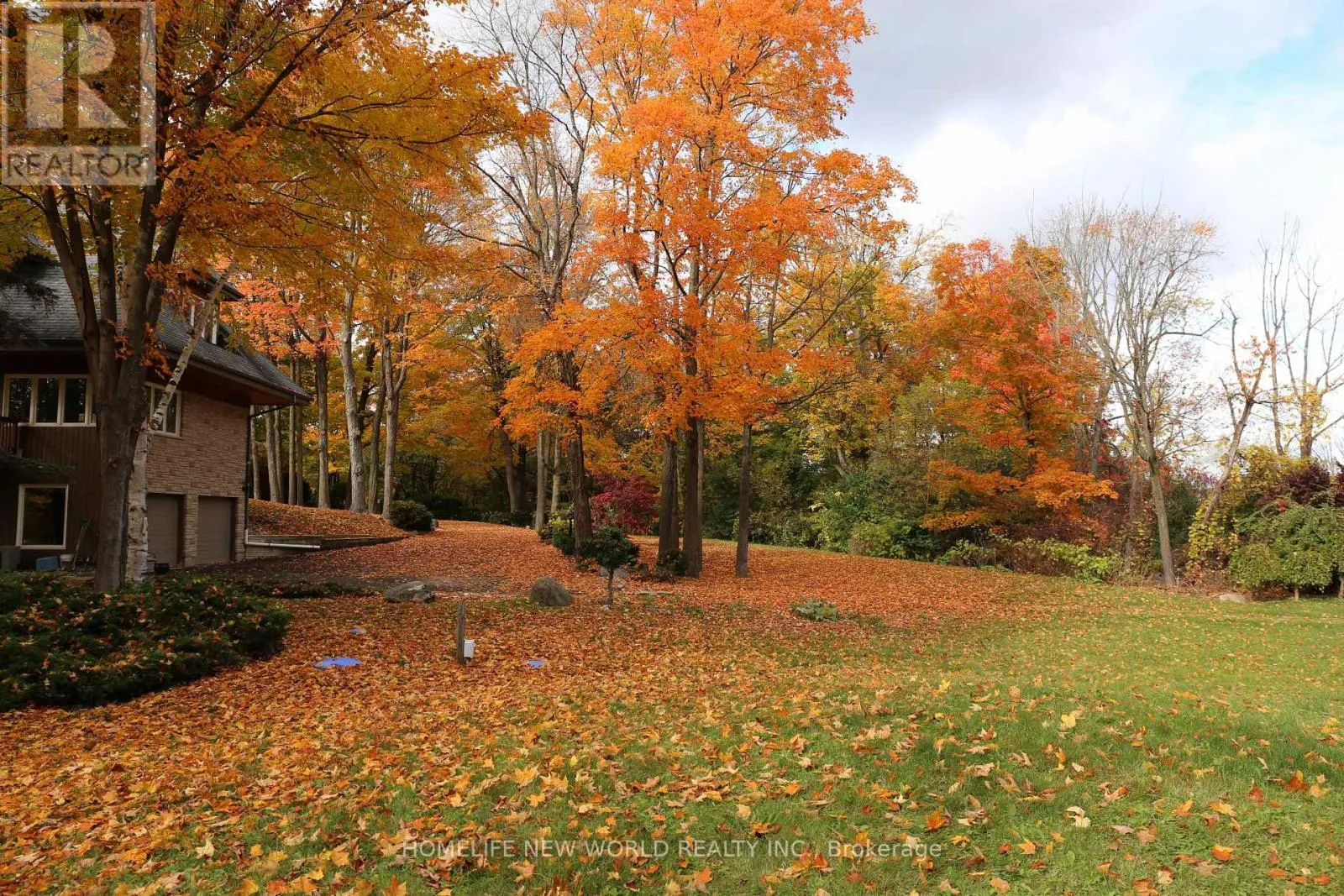 13867 WOODBINE AVENUE