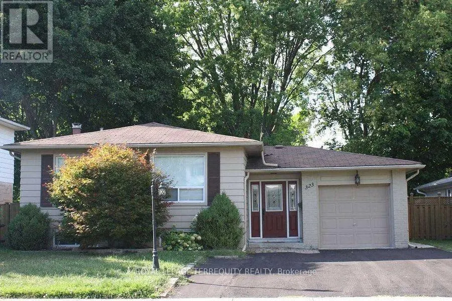 BASEMENT - 323 TOWERCREST DRIVE