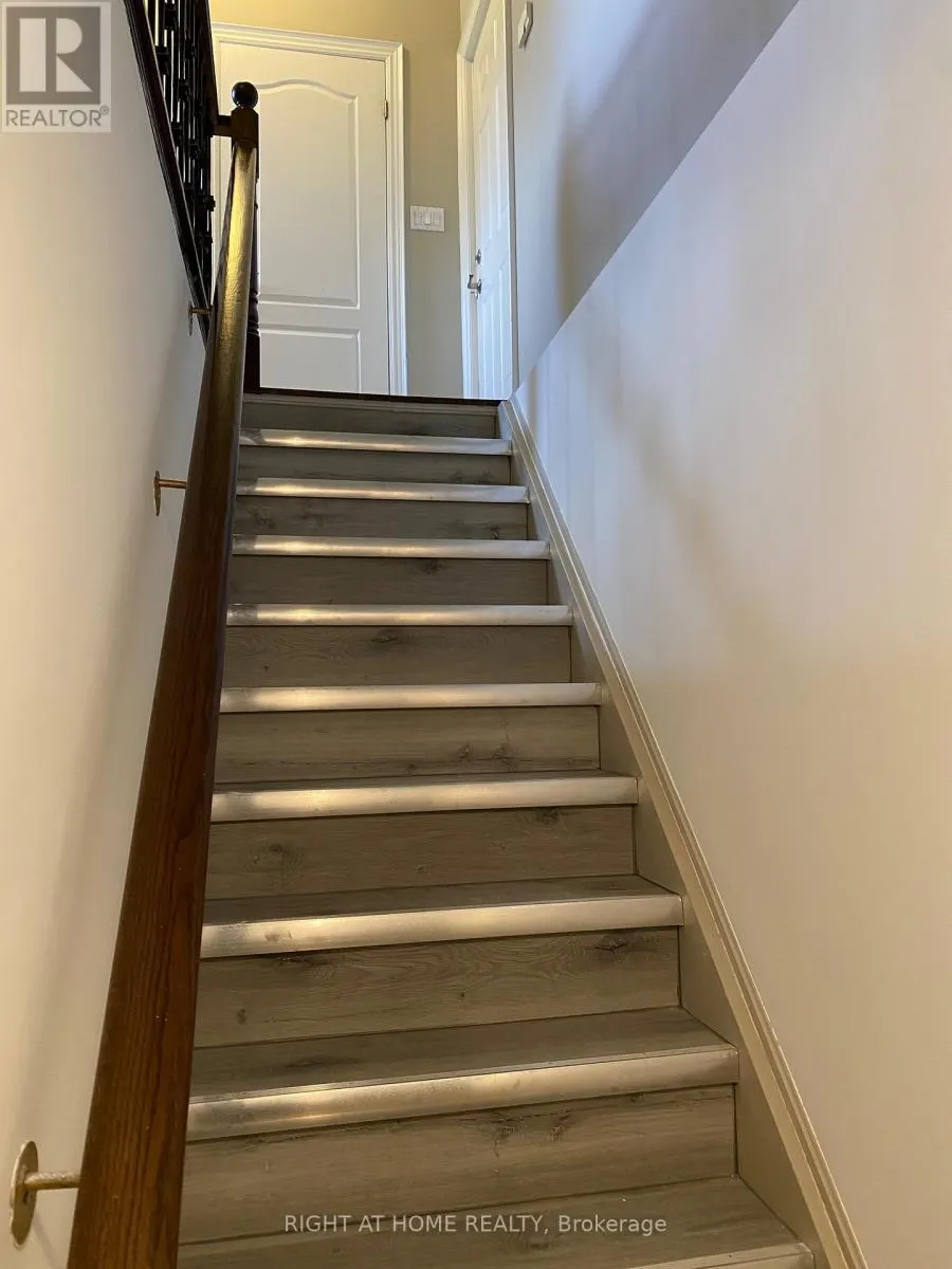 BASEMENT - 198 NOVAVIEW CRESCENT