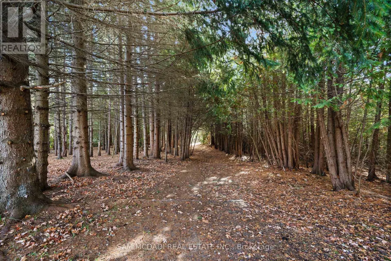 2993 INNISFIL BEACH ROAD