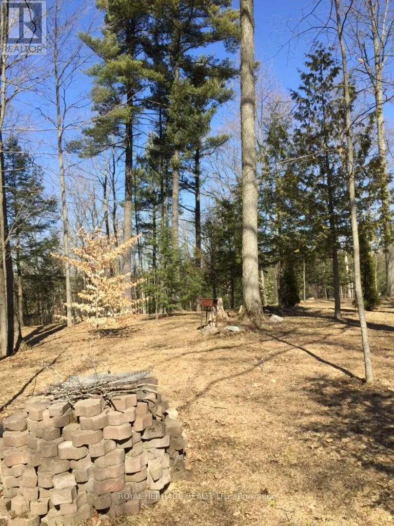 6677 CONCESSION 2 ROAD