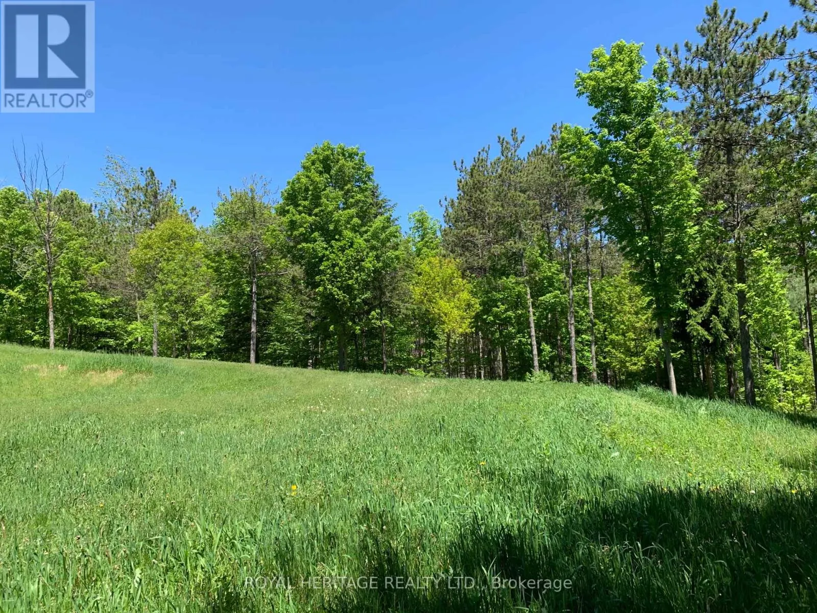 6677 CONCESSION 2 ROAD