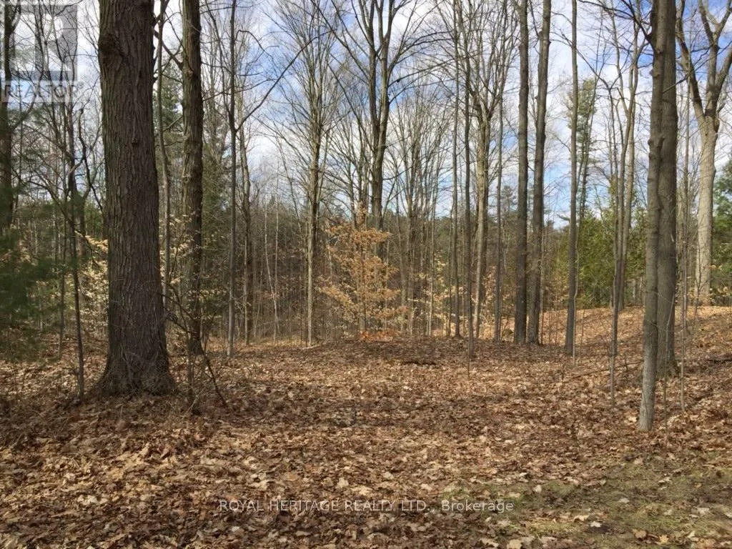 6677 CONCESSION 2 ROAD
