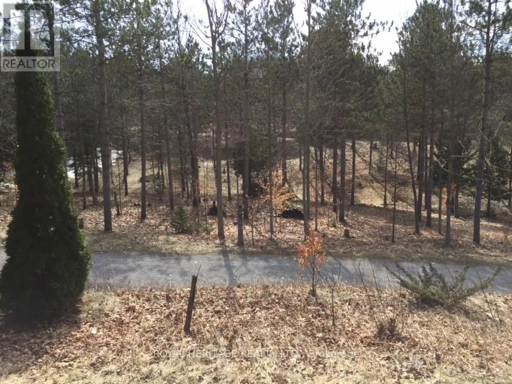 6677 CONCESSION 2 ROAD
