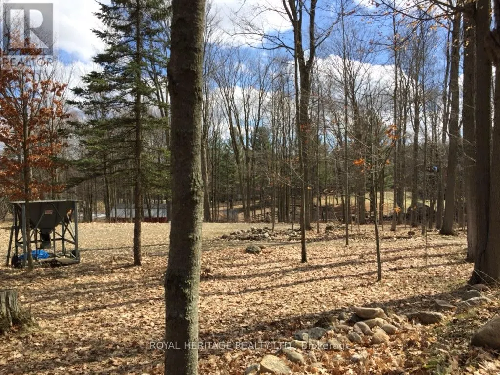 6677 CONCESSION 2 ROAD