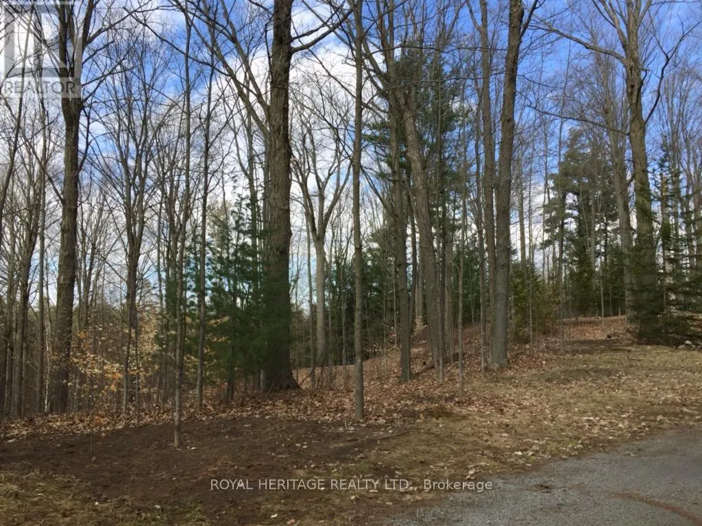 6677 CONCESSION 2 ROAD