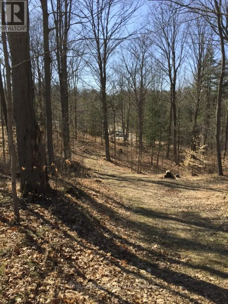 6677 CONCESSION 2 ROAD