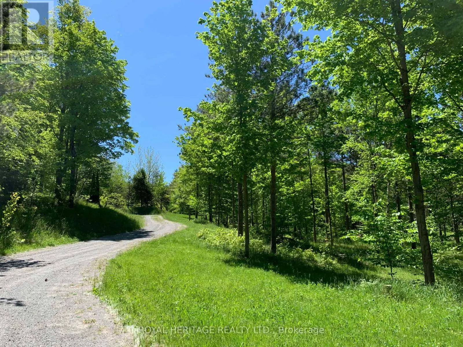 6677 CONCESSION 2 ROAD