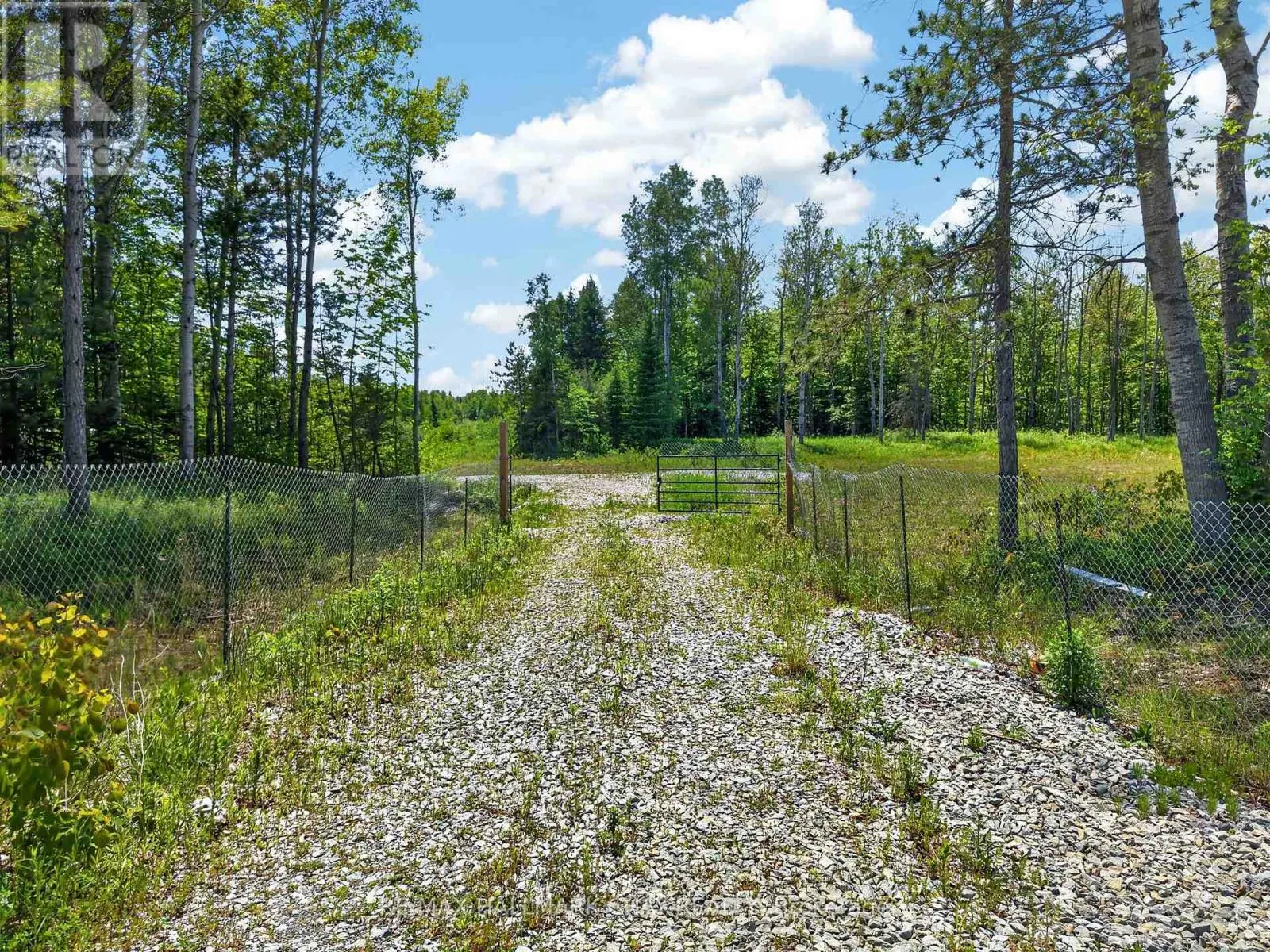 6685 COUNTY RD 21