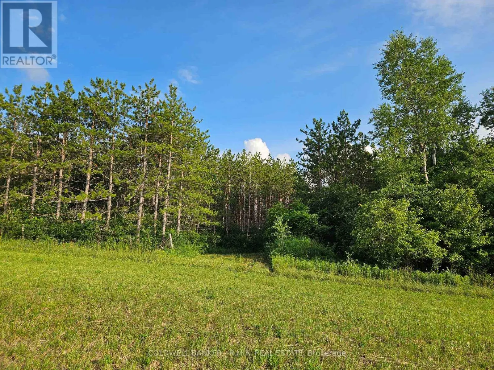 10400 AND 10800 CONCESSION 6 ROAD