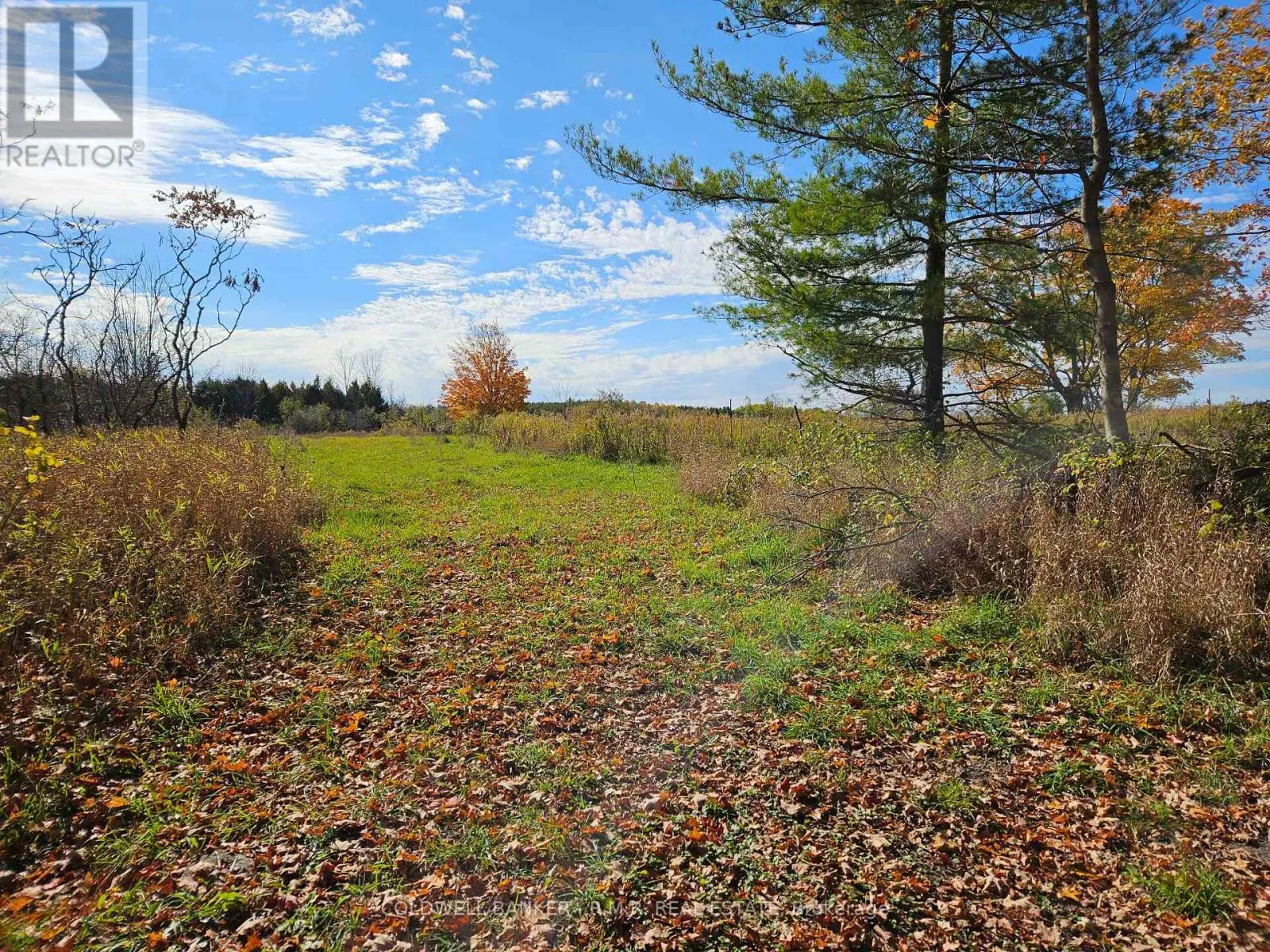 10400 AND 10800 CONCESSION 6 ROAD