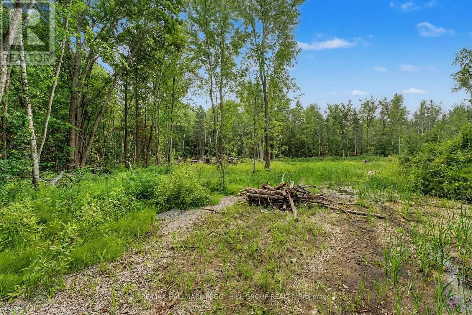 6905 COUNTY ROAD 21