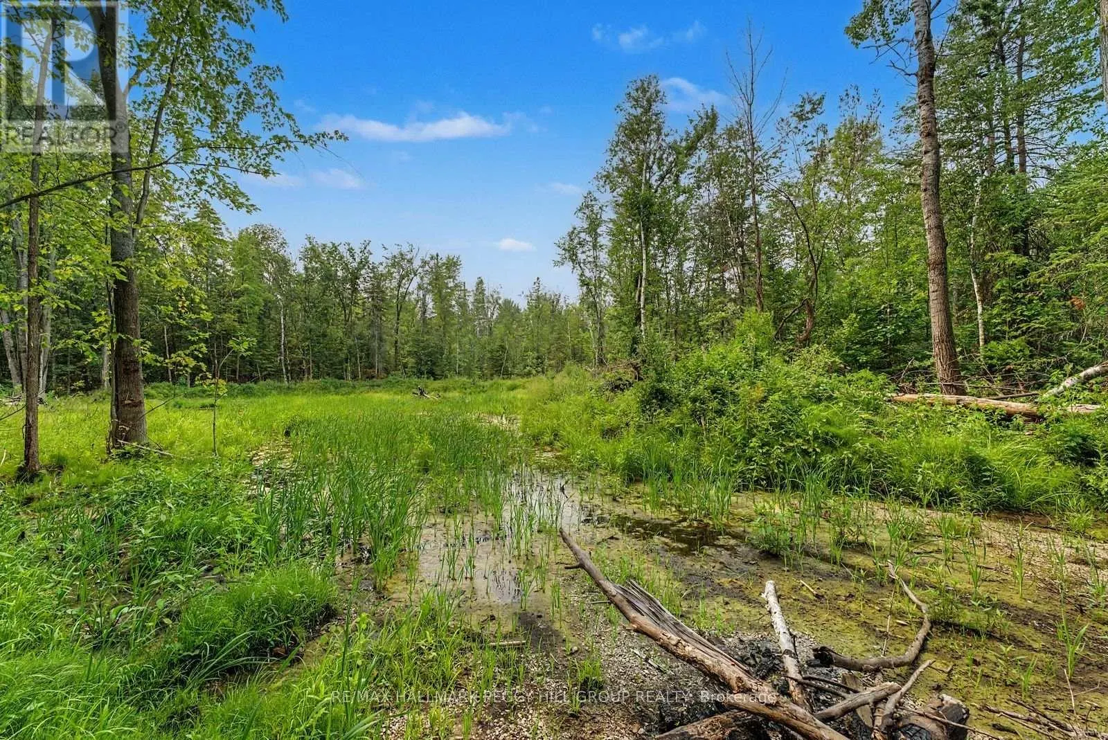 6905 COUNTY ROAD 21