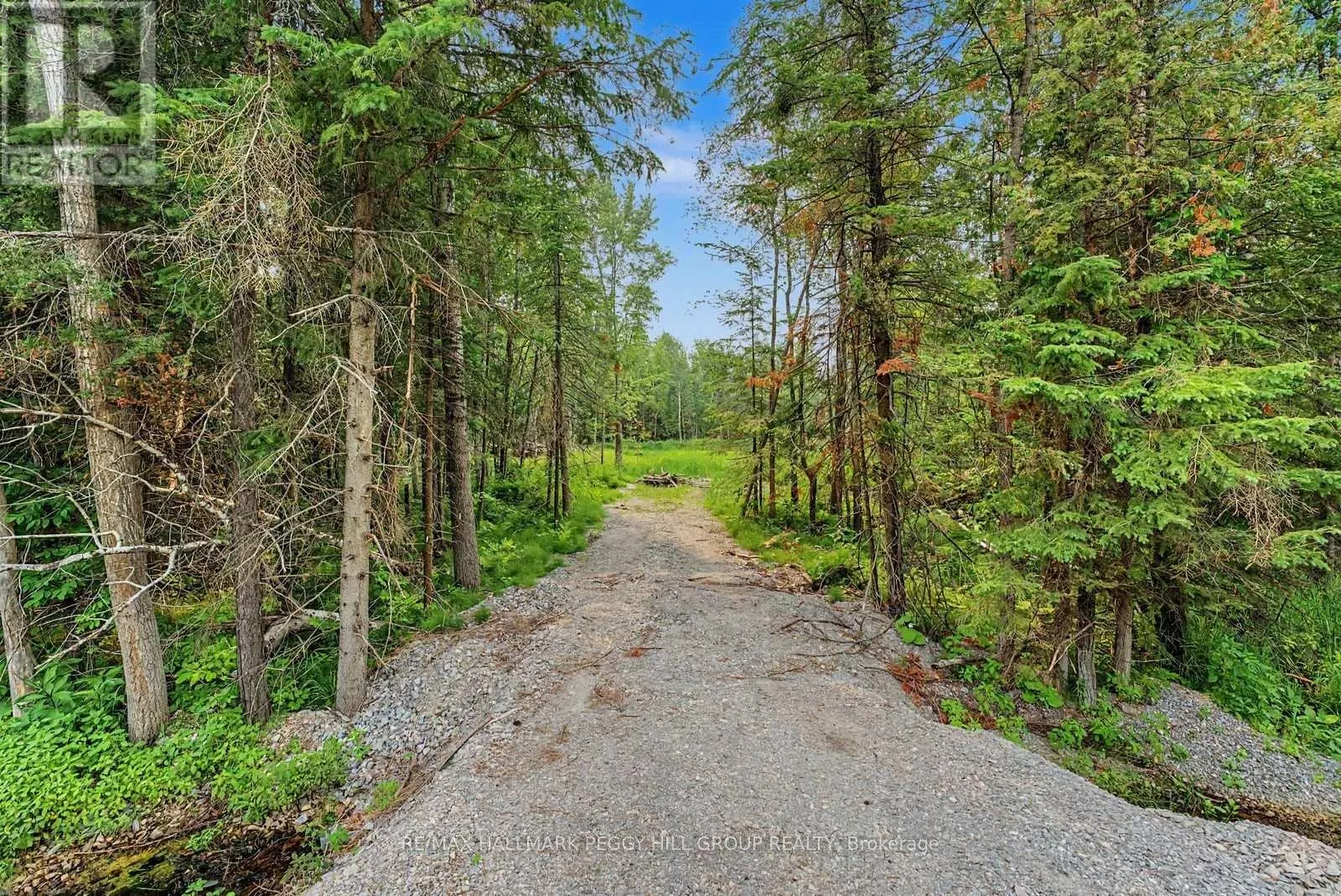6905 COUNTY ROAD 21