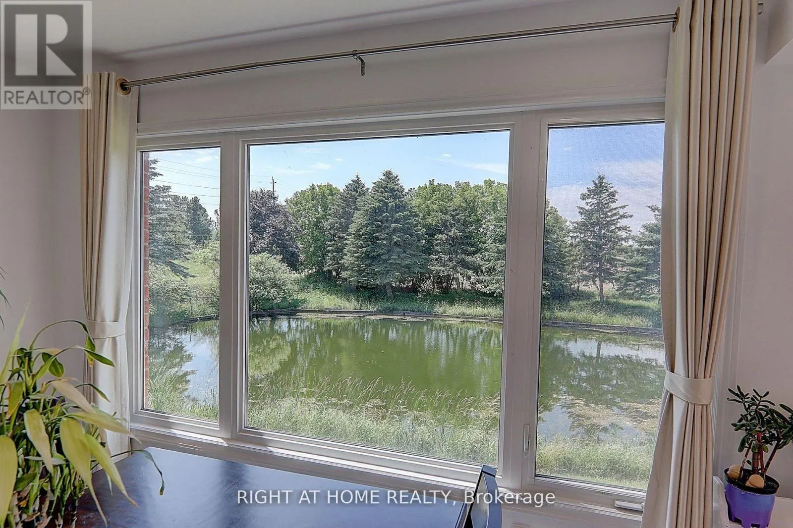 1008 MOUNT ALBERT ROAD