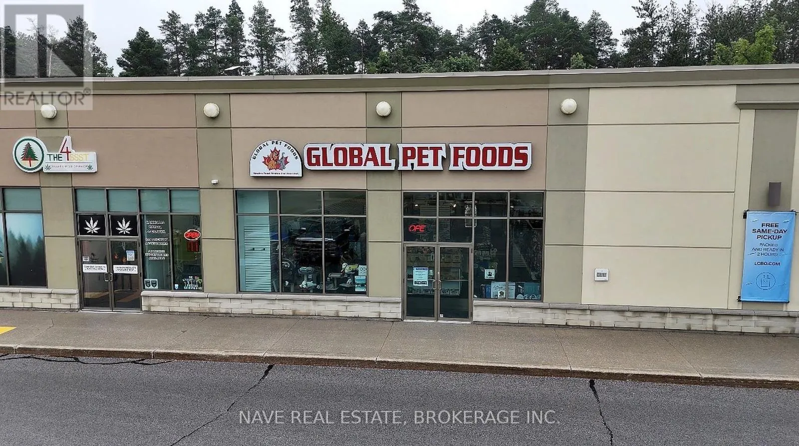 UNIT 3 - 2B WELWOOD DRIVE