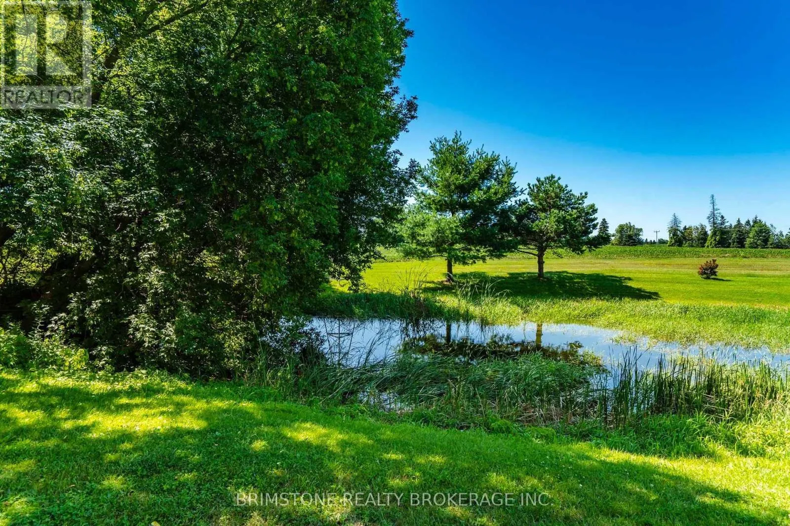 8231 56 COUNTY ROAD