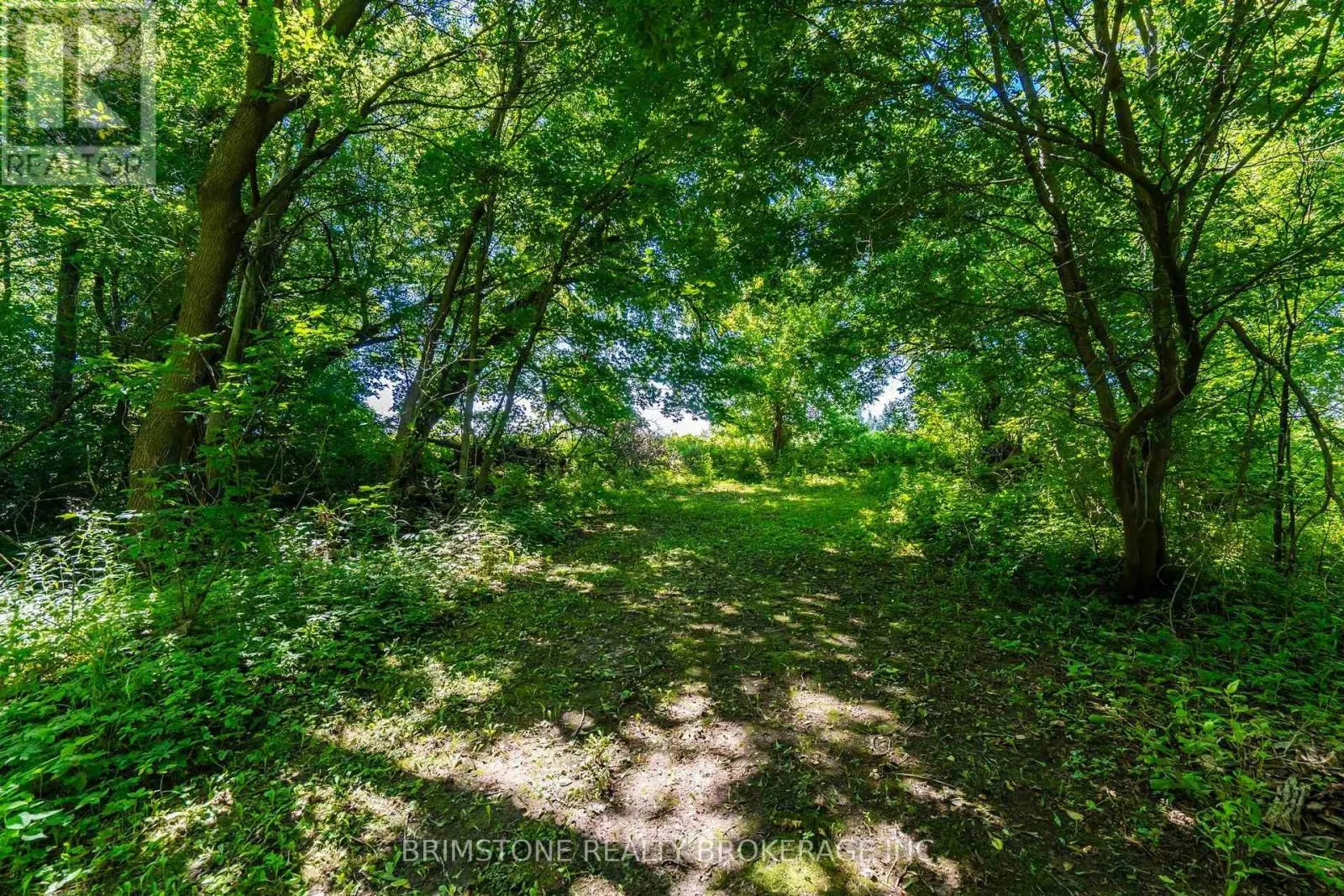 8231 56 COUNTY ROAD