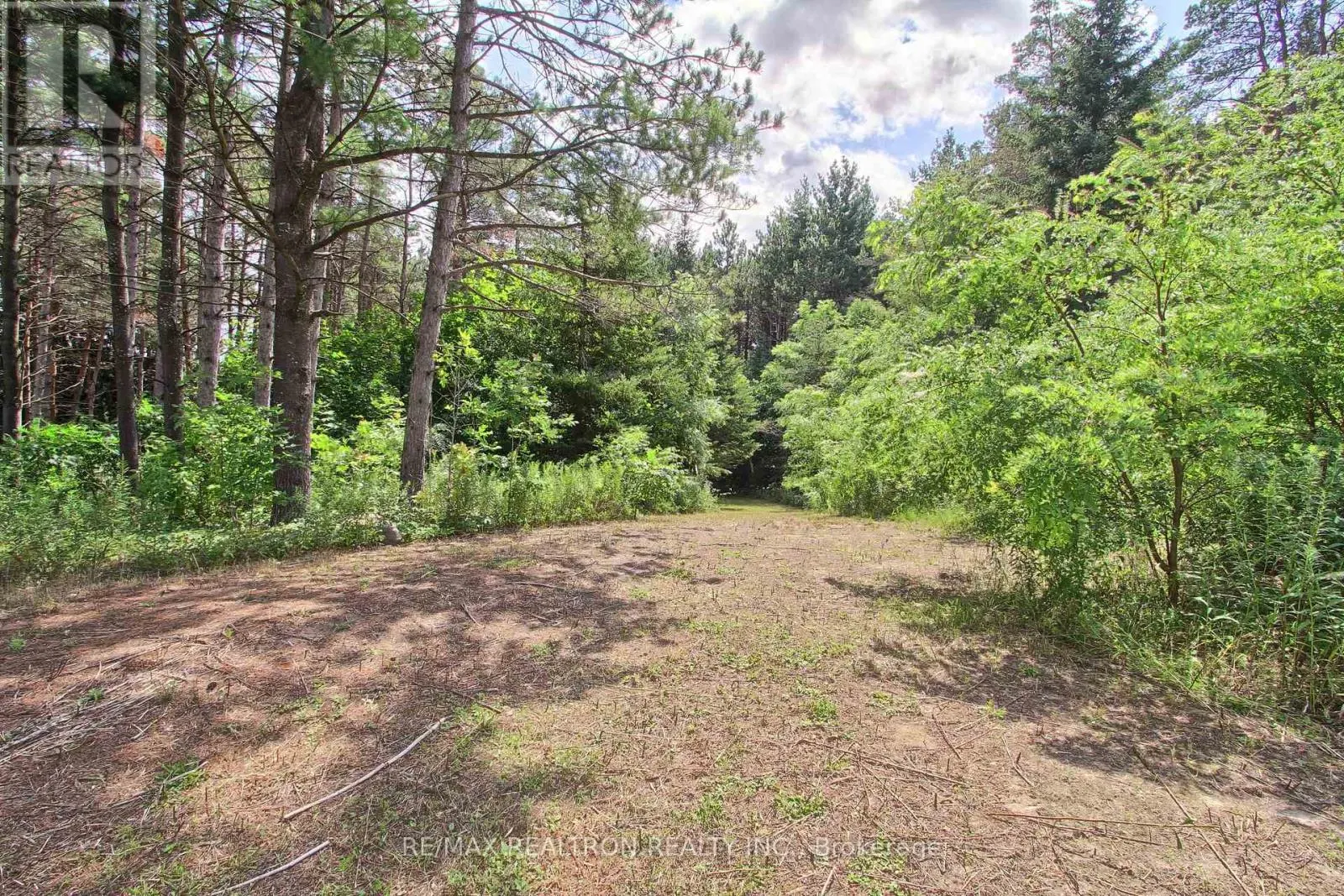 3433 MOUNT ALBERT ROAD