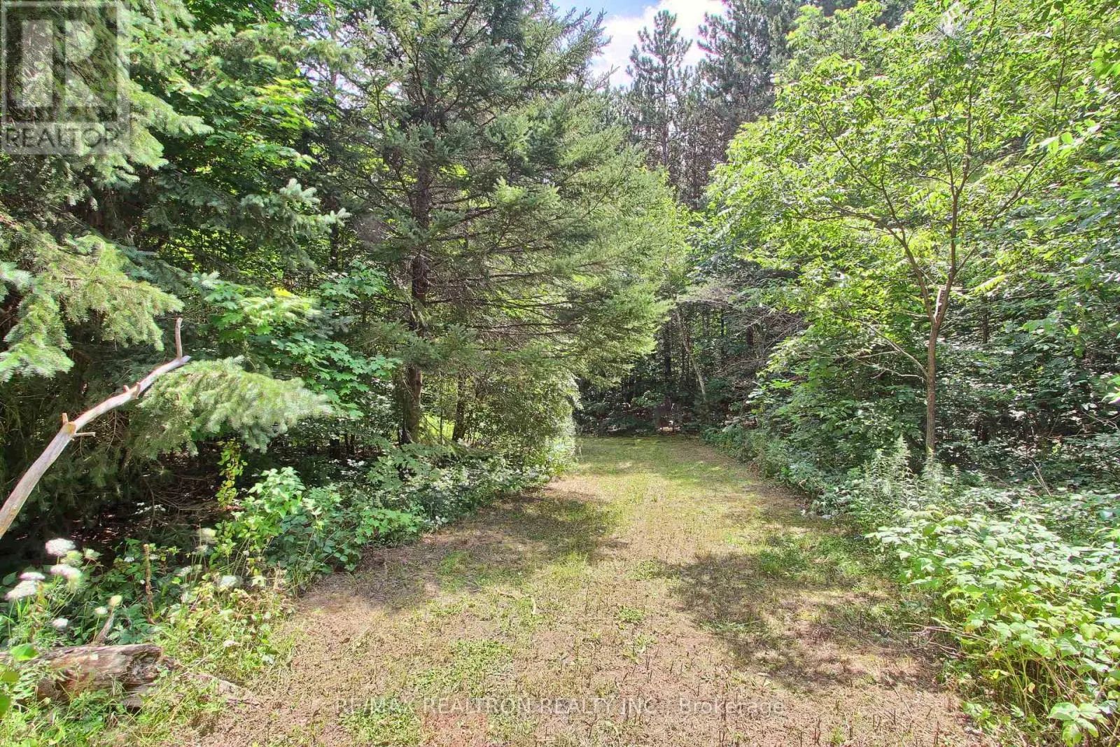 3433 MOUNT ALBERT ROAD