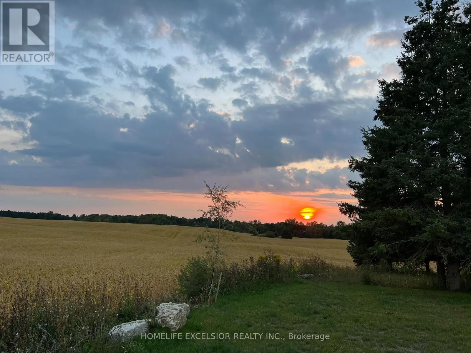 14428 MCCOWAN ROAD