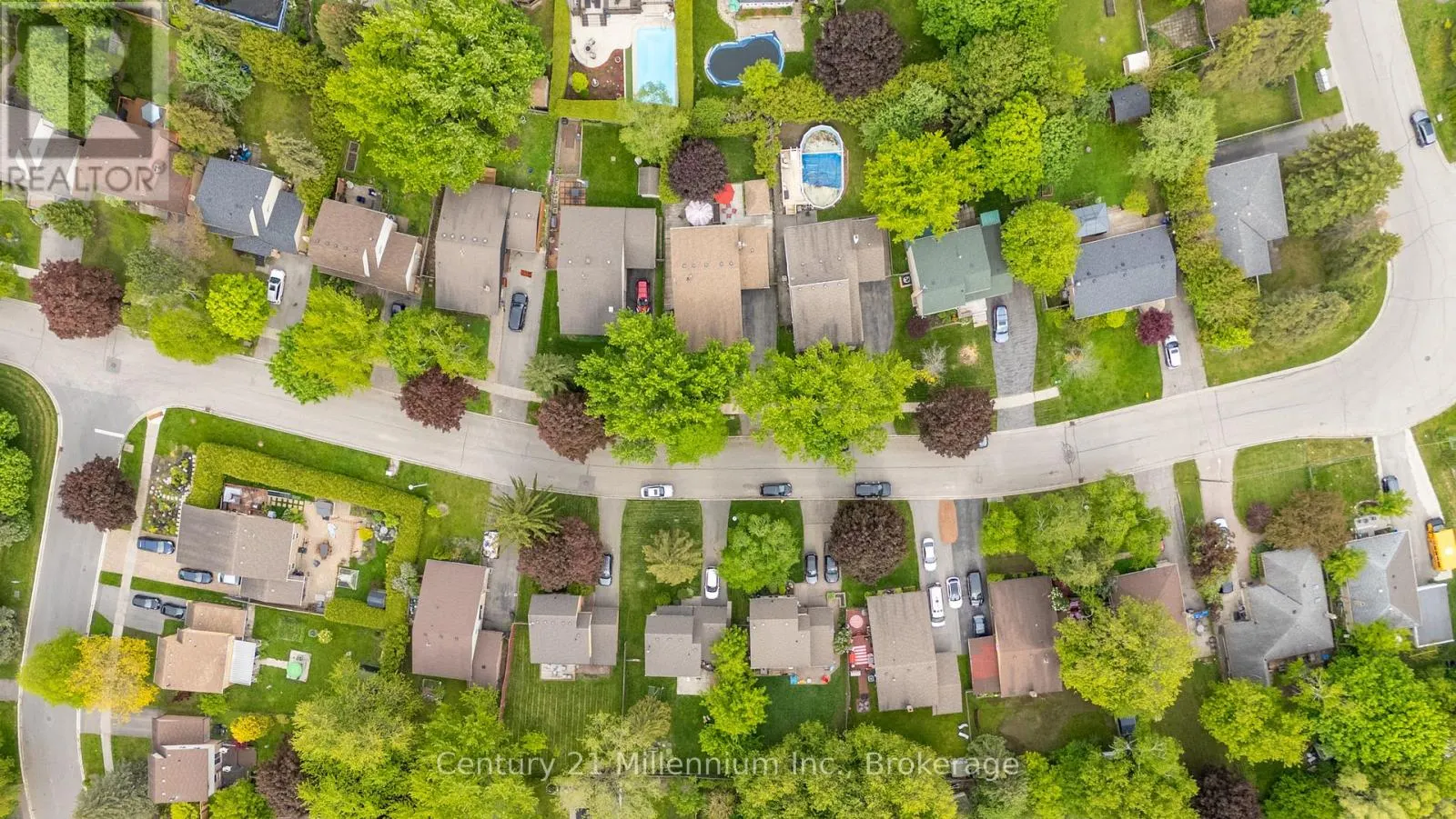 DRIVE - 43 STODDART DRIVE #Drive