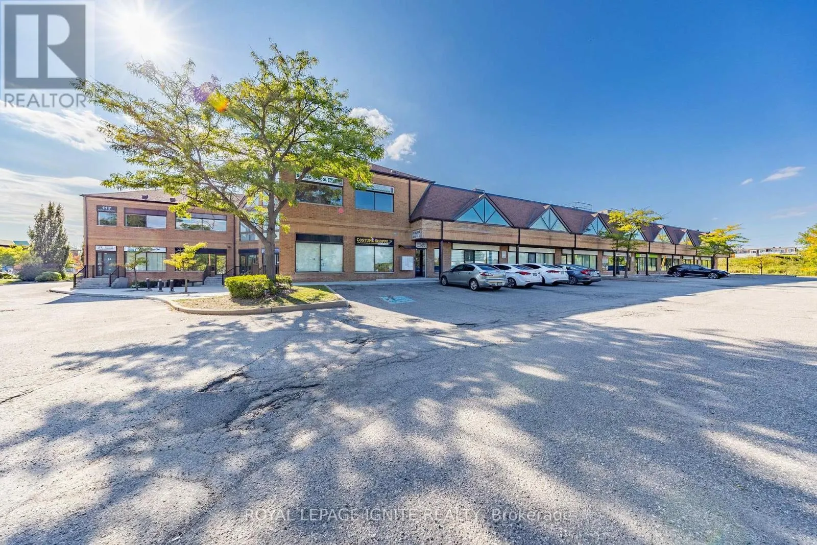 11 - 117 RINGWOOD DRIVE