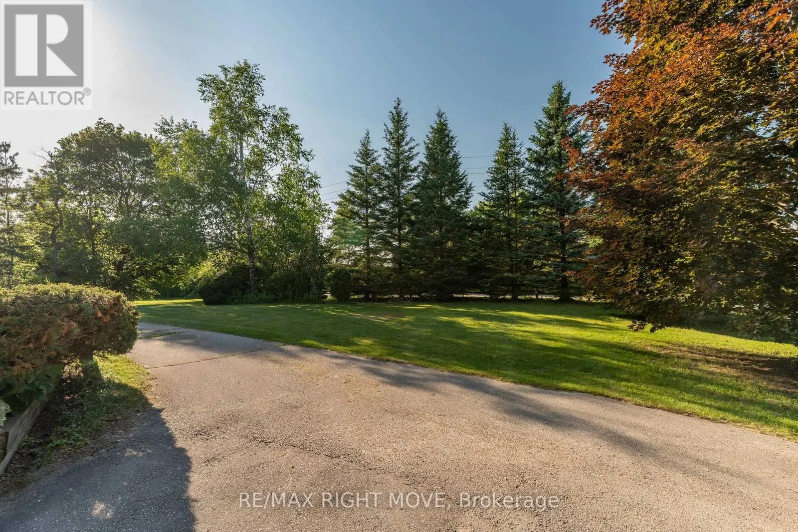 590 SCUGOG 12 LINE