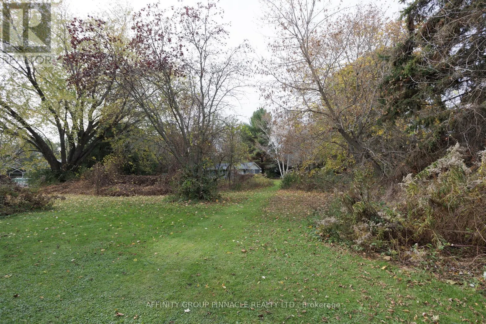 81 CEDAR BEACH ROAD