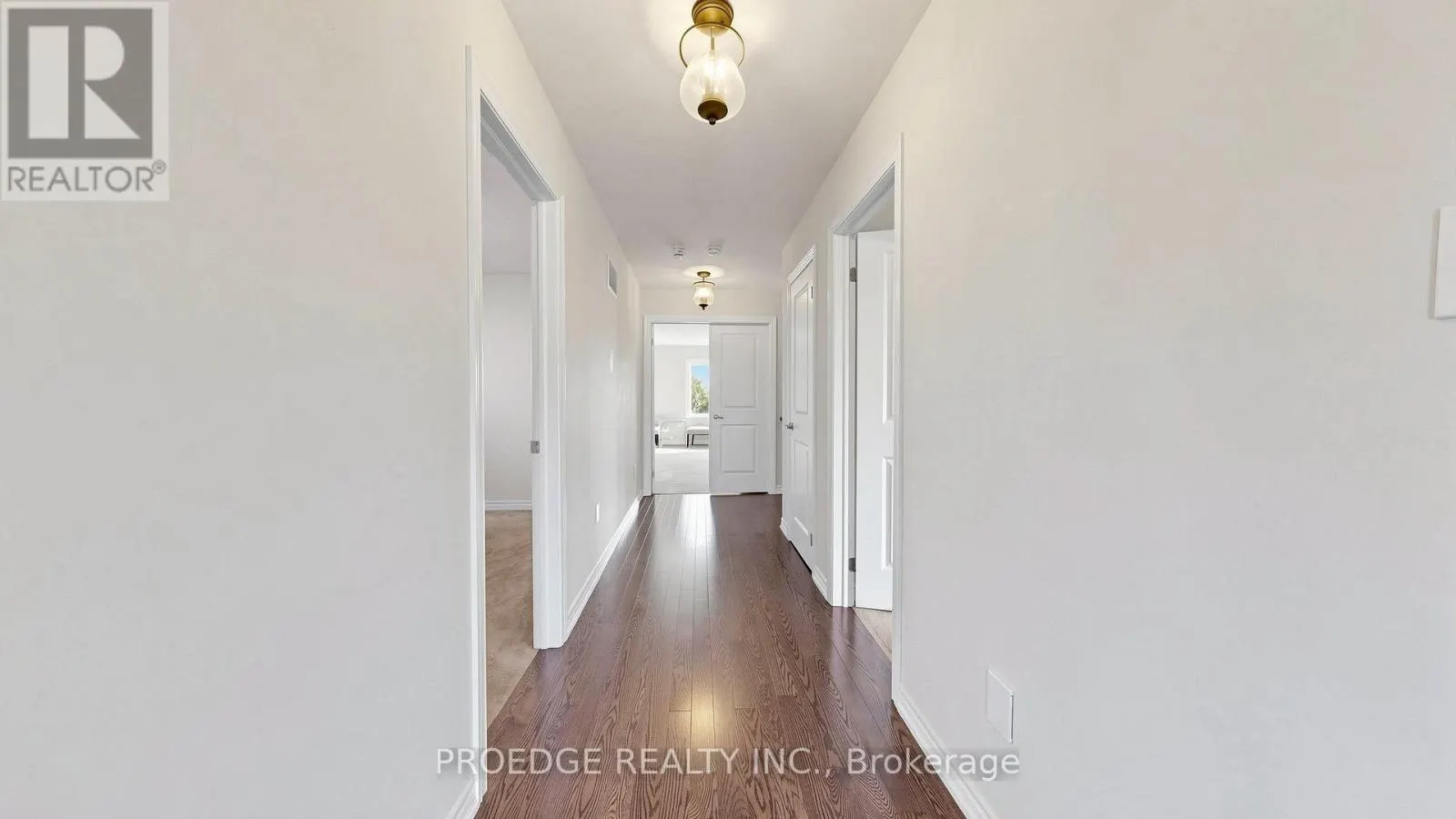 91 DAVID WILLSON TRAIL