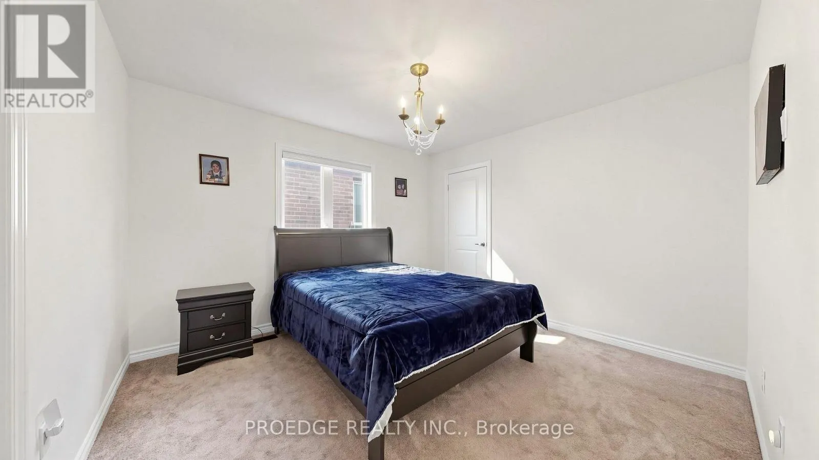 91 DAVID WILLSON TRAIL