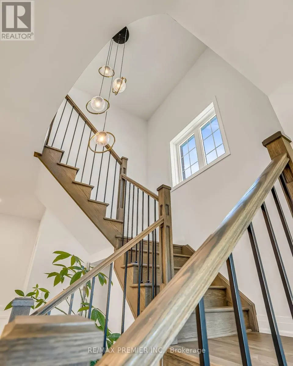25 LOW BOULEVARD
